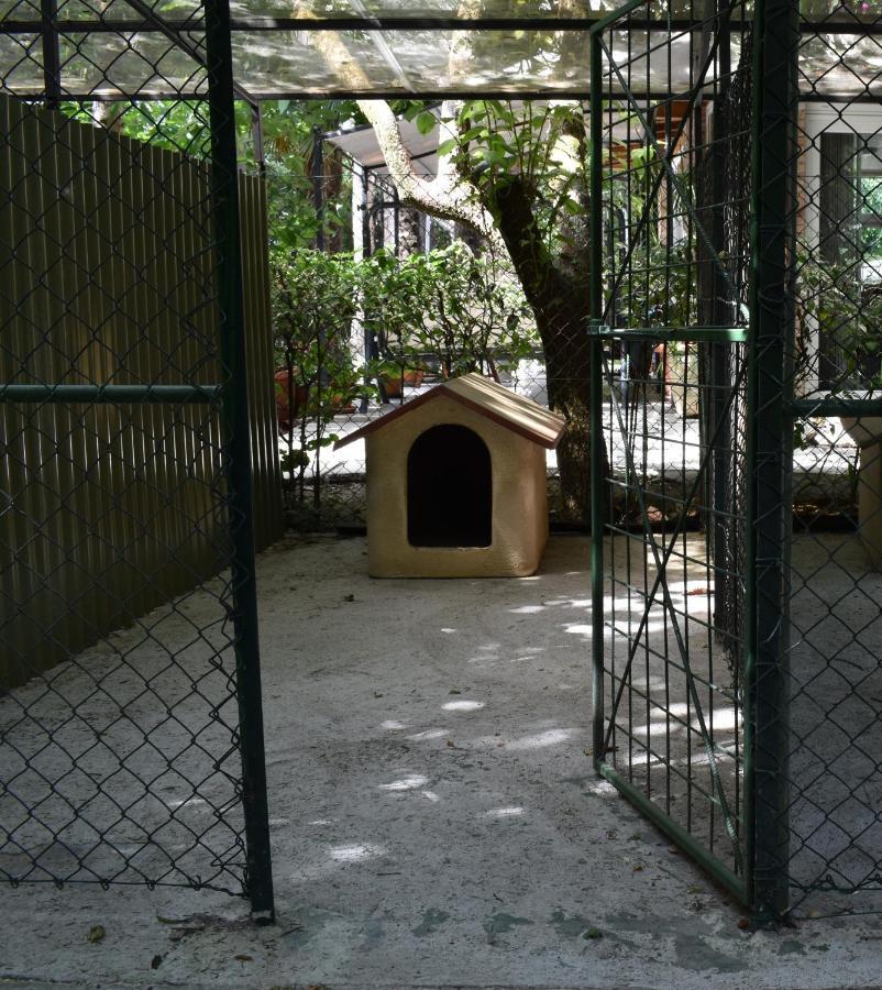 טרני Cospea B&B מראה חיצוני תמונה